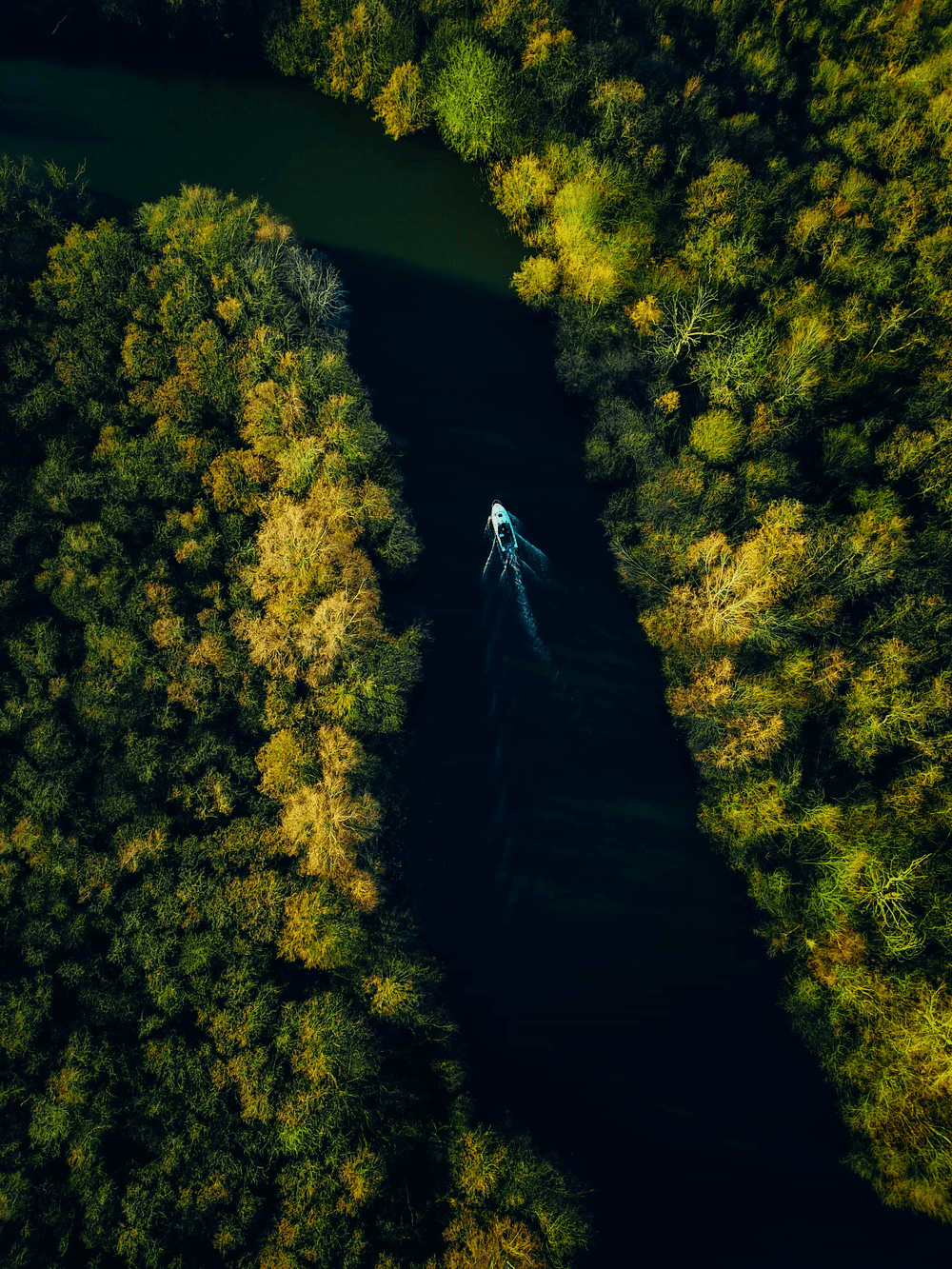 Boat driving on a river winding through a thick forest for out of the box creative cloud approach and finding our own way