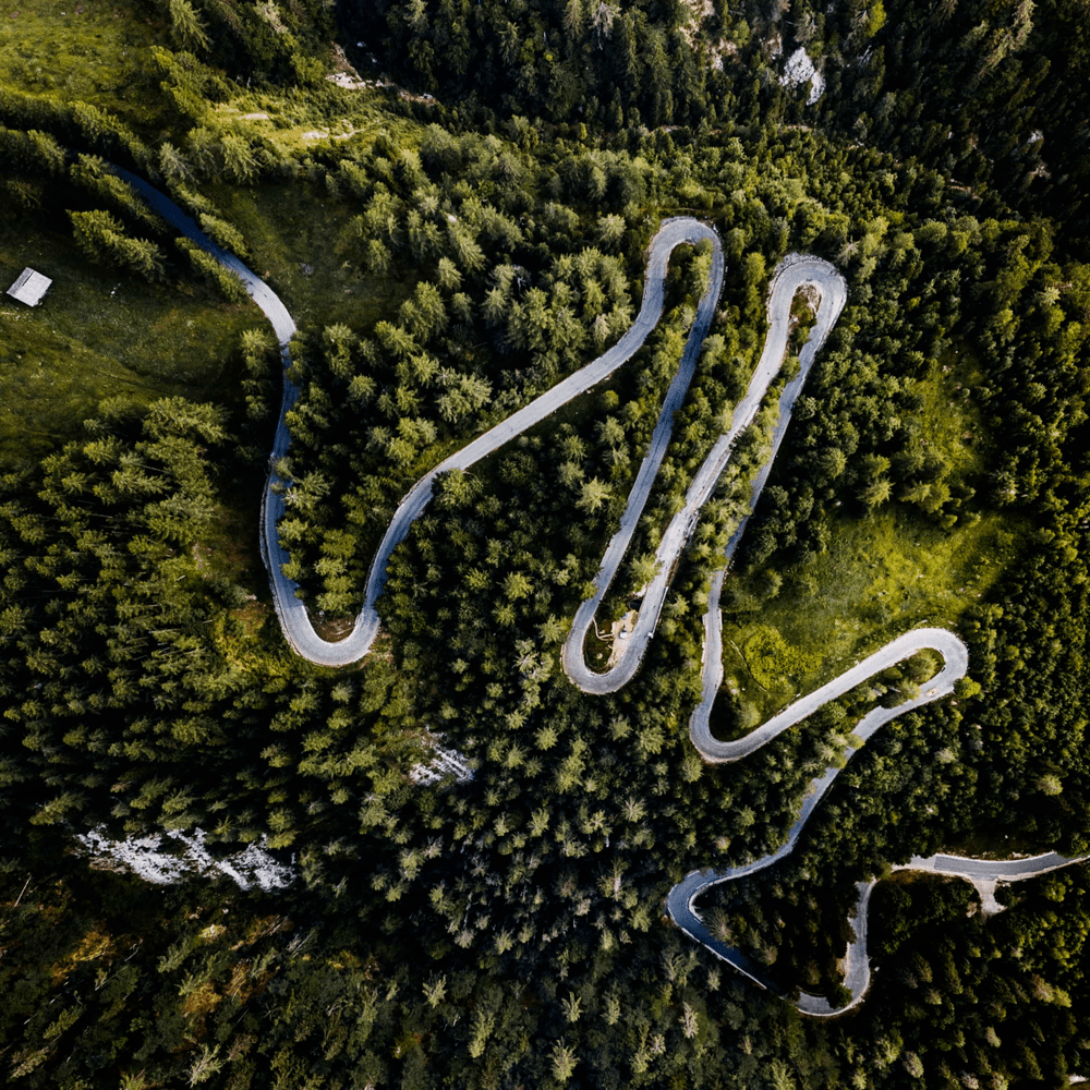 Road winding through lush green forest for serverless development from anywhere